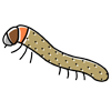 CSRTI